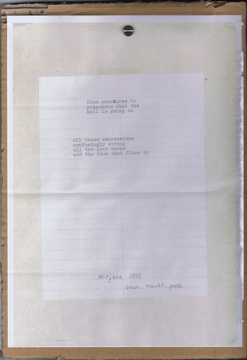 36483-mirijana-hecht-objektbuch