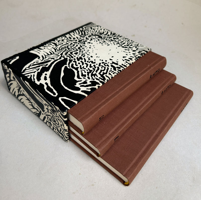 4104-die-buecher-markus-raetz-1975